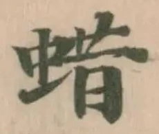 蜡の位置