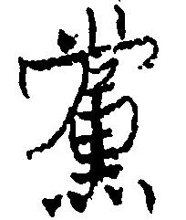 党の位置