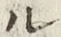 글자 ル