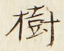 글자 樹