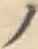 字ノ