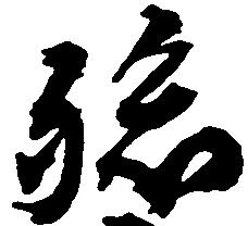 孫 위치 확인됨