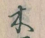 位置定マレル木