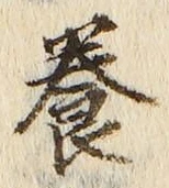 글자 養