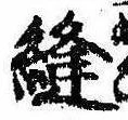 Đã định vị 縫