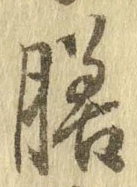 膳 위치 확인됨