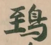 鵄の位置