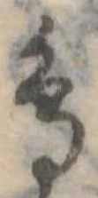 鳥 위치 확인됨