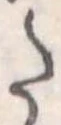Đã định vị 𛁠