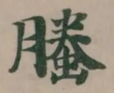 Đã định vị 螣